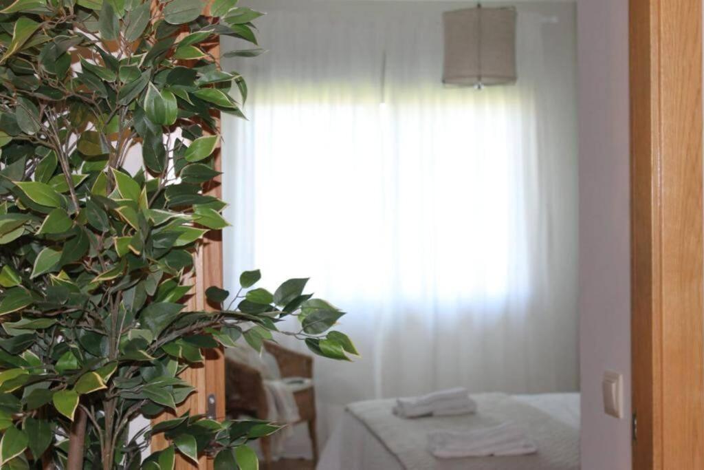 Apartamento Riomar Ribadumia 外观 照片